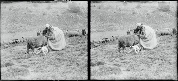 Figure 40. sans titre, série « Berger et soins aux jeunes agneaux », boîte « Scènes et types » 