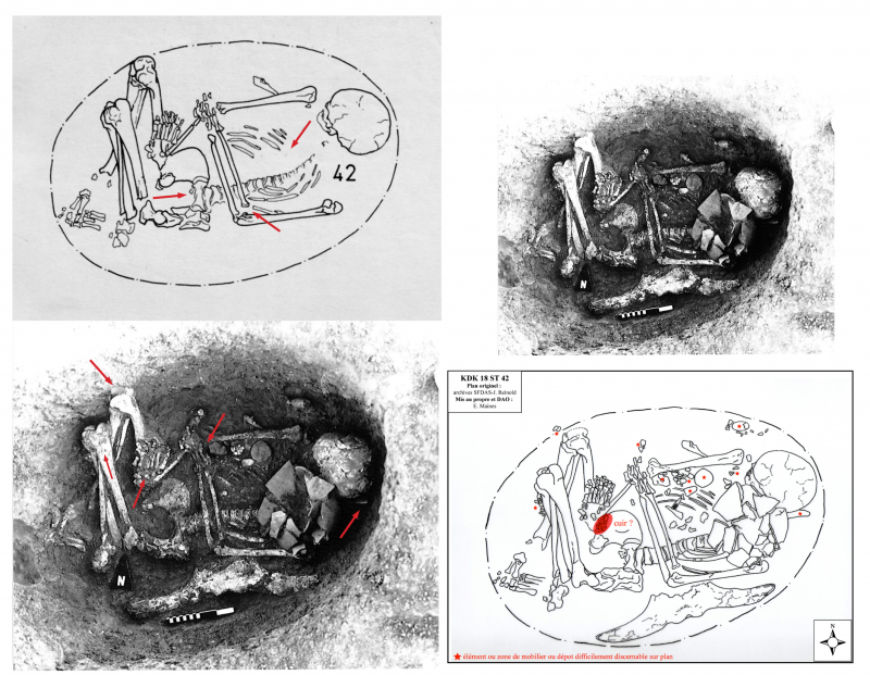 Figure 6: Case study of a useful example of skeletal elements retaining unstable equilibrium, of the importance of the context of decomposition, as well as the limitations of taphonomic analysis a posteriori based on different mediums 