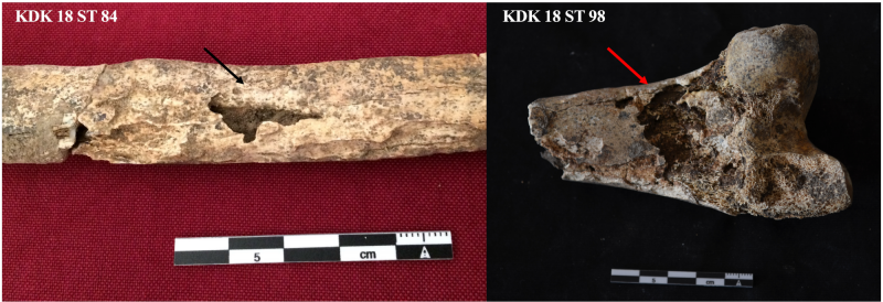 Figure 10: Example of potential termite activity found among the remains of different Kadruka sites