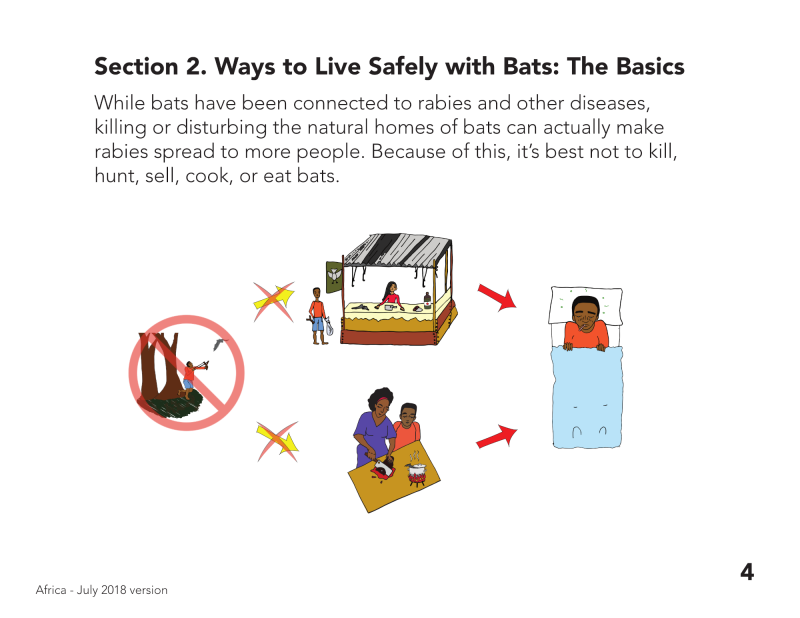 Figure 1: PREDICT Consortium. 2018. Living Safely with Bats: Africa Version, page 4. 