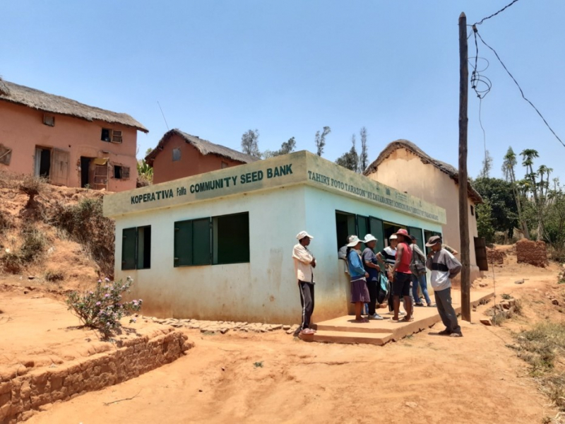 Photo n° 2 : Banque de semences communautaire et siège de la Coopérative Fa.MA., Fokontany Mandrevo 