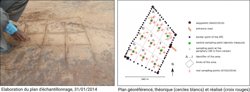 Figure 1 : Plan d’échantillonnage du centre agroforestier et localisation des échantillons de sol prélevés (15 février 2014) 