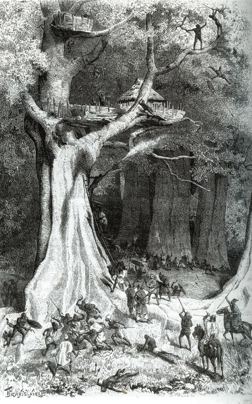 Figure 21. Gravure d’Ivan Pranishnikoff du siège des cotonniers géants de Kimré, en 1972. Illustration du Voyage du Bornou au Baguirmi (1880), Gustav Nachtigal 