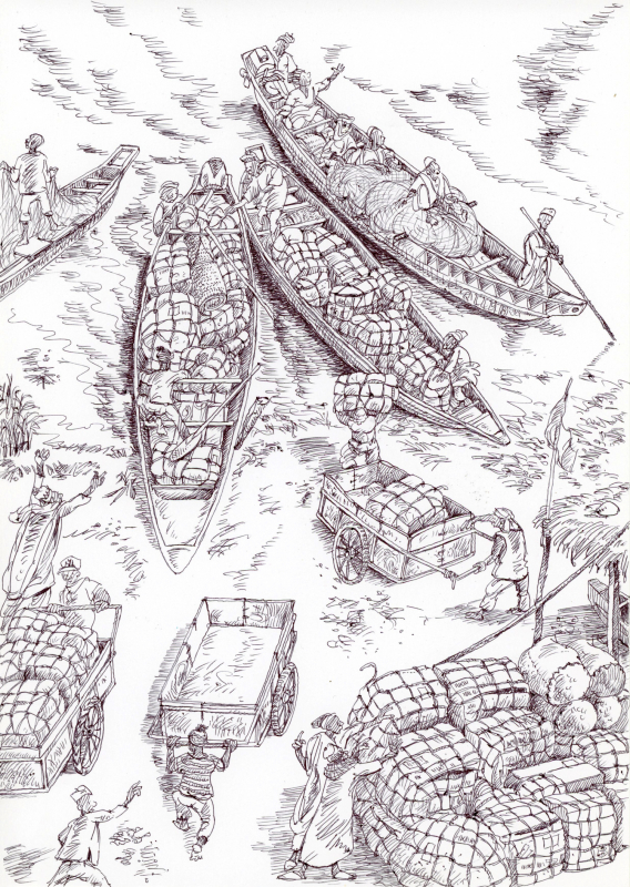 Figure 8. Lac Tchad, accostage de pirogues chargées de banda (poisson fumé) 